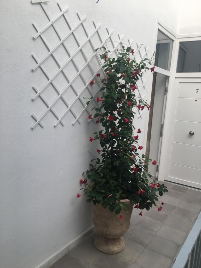 Loft Xerez Centro Apartamento Jerez de la Frontera Exterior foto